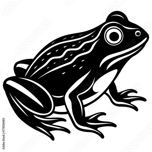frog on white background vector