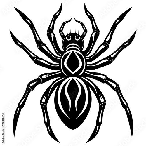 spider silhouette vector illustration