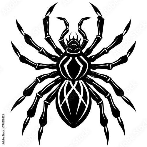 spider silhouette vector illustration