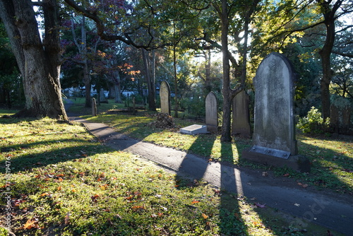 Long shadows of Autumn sunshine on a morning walk through a cemetery
