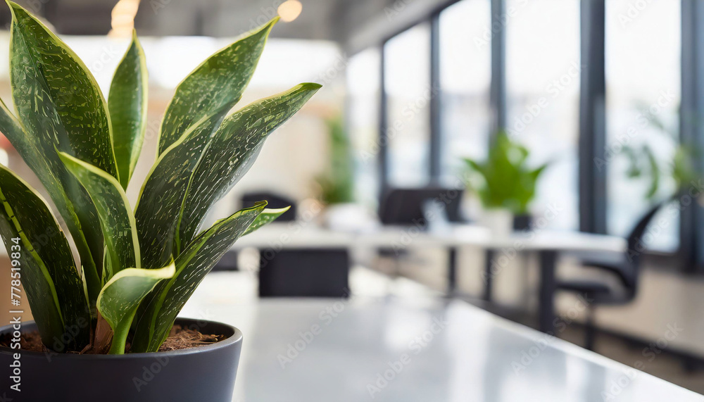 Empty abstract blurred bokeh background of modern cafe or restaurant with potted green plants can be used for display products. Mock up with copy space Empty abstract blurred bokeh background of modern cafe or restaurant with potted green plants can be used for display products. Mock up with copy space