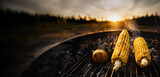 corn and onions on a wood and charcoal grill - smoke and flames char the corn kernels creating delicious colors, textures and flavors for a vegetarian bbq side item entree outdoor cooking, open fire