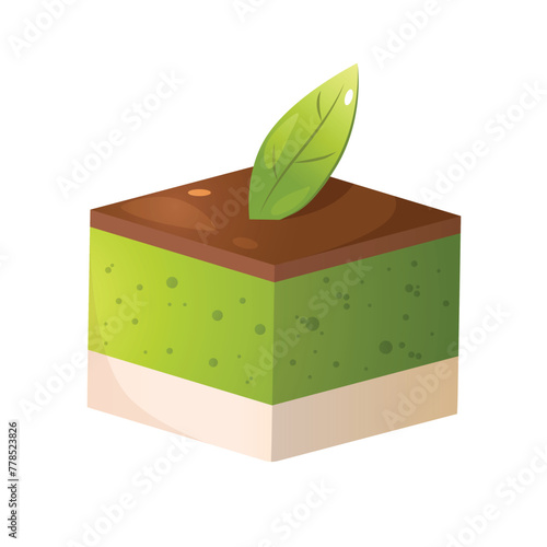 Slice of matcha dessert tiramisu isolated on a white background.
