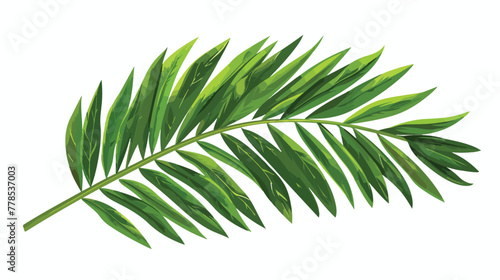 Green palm leaf. Isolated element for your design flat