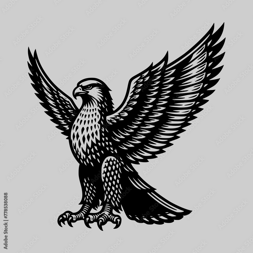 full body animal falcon bird predator vector illustration 