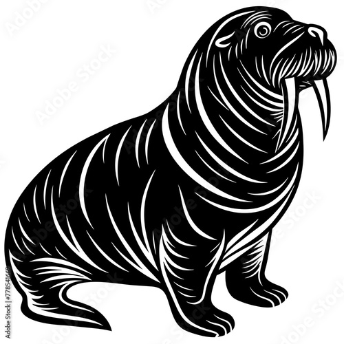 Fototapeta Naklejka Na Ścianę i Meble -  illustration of a Walrus 