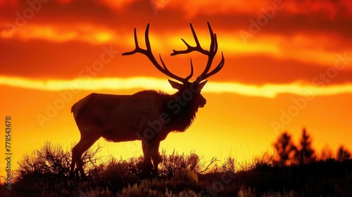 A majestic elk  its imposing antlers silhouetted against the fiery hues of a breathtaking sunset in the rugged wilderness.