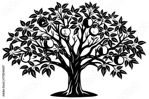 oranges-tree-on-white-background illustration