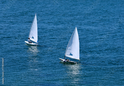 two small sailboats tacking across the bay © Heidi Patricola
