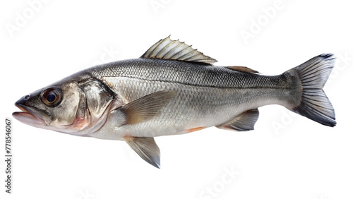 Fresh sea bass fish on white plate isolated on transparent background