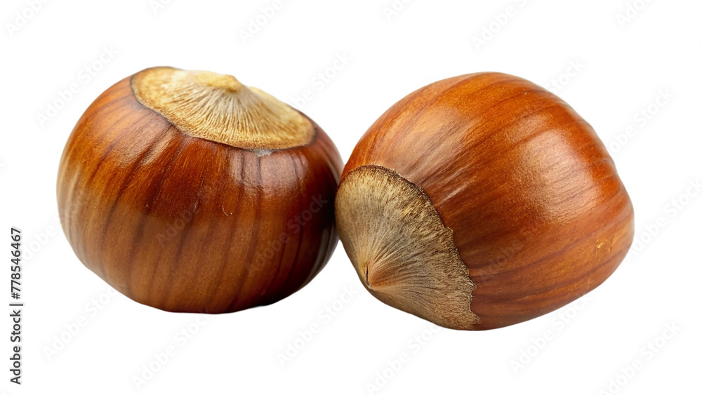Hazelnut nut isolated on transparent background Hazelnut nut isolated on transparent background