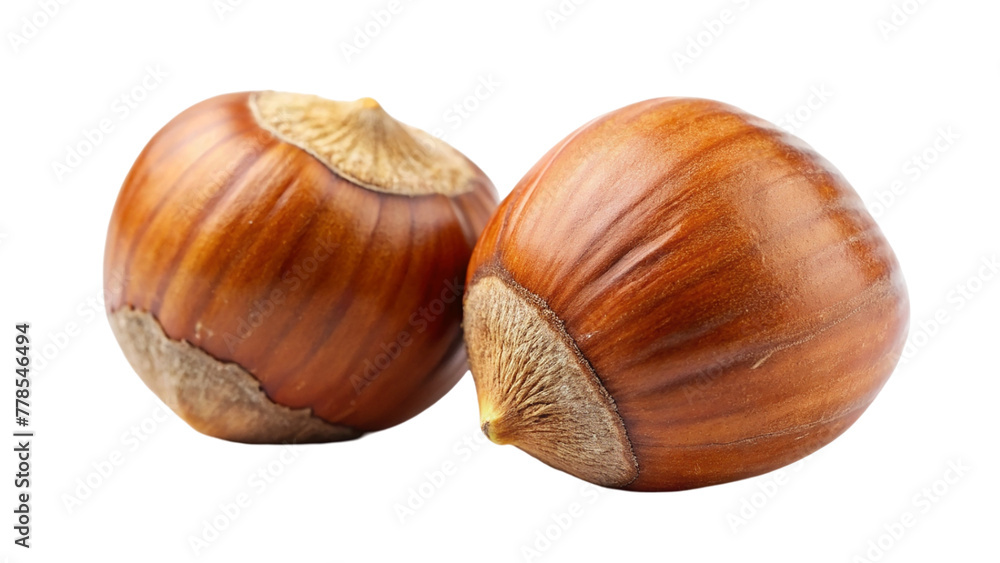 Hazelnut nut isolated on transparent background Hazelnut nut isolated on transparent background
