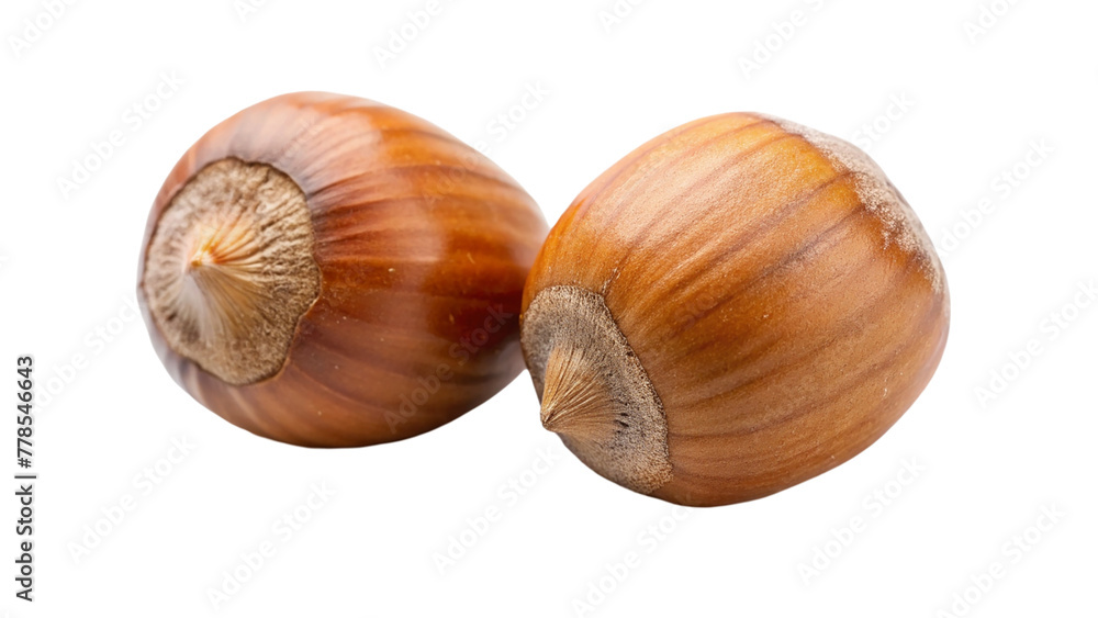 Hazelnut nut isolated on transparent background Hazelnut nut isolated on transparent background