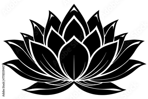 lotus-flower-seen-from-the-front vector illustration 