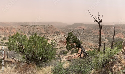 Panaramic View of the Palo Dura Canyon During a Dust Storm