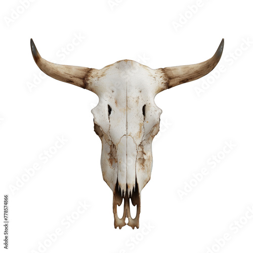 Bull skull isolated on transparent background