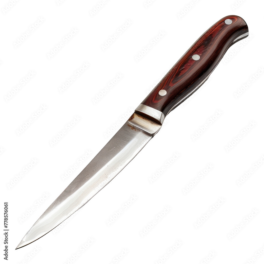 Knife with wooden handle and silver blade. Classic culinary tool for precise cutting Knife with wooden handle and silver blade. Classic culinary tool for precise cutting