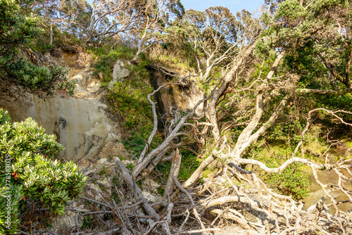 Cathedral Cove Beach Access Closed: Track Damage from Erosion, Fallen Trees, Rockfalls, and Landslides in Coromandel, New Zealand photo