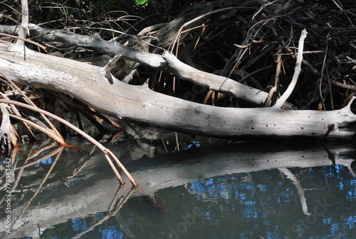 El agua,el mar como elemento comunicante en nuestro ambiente.