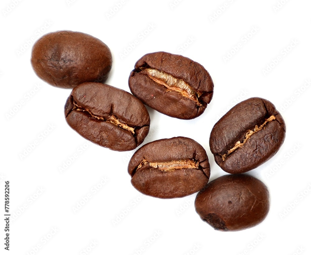 coffee beans isolated on white coffee beans isolated on white