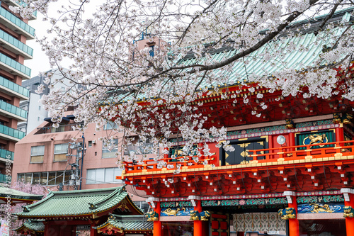 東京都千代田区御茶ノ水に咲く桜の景色