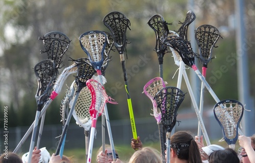 Lacrosse Sticks photo