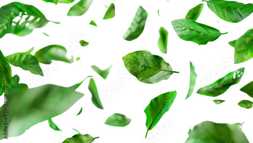 green leaves falling in the air, white background