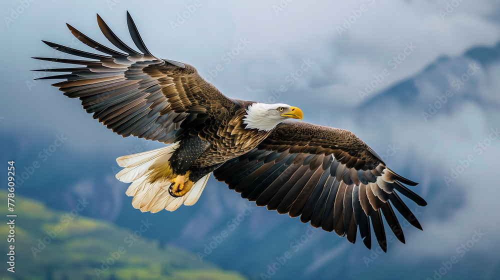 Obraz premium American eagle fly over the mountain