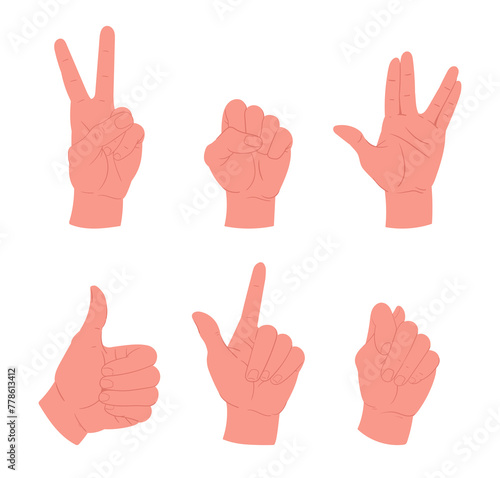 Hands gestures. Cartoon human palm, thumb up, ok and peace signs flat vector illustration set. People hands collection