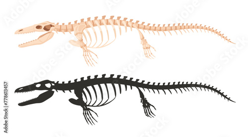 Ichthyosaurus skeleton silhouettes. Underwater archaeological dinosaur fossil bones, jurassic ichthyosaurus raptor flat vector illustration. Ancient water fossil skeleton © GreenSkyStudio