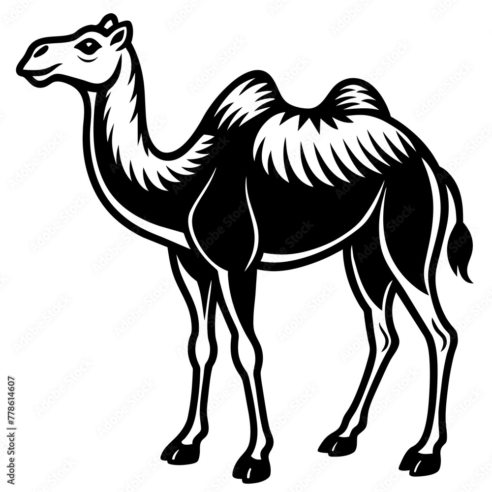 Fototapeta premium camel in desert silhouette vector illustration,head of a bull,camel characters,Holiday t shirt,Hand drawn trendy Vector illustration,camel riders on black background