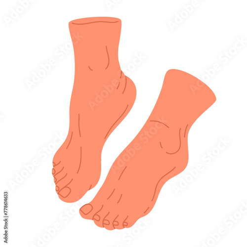 Human naked feet. Hand drawn barefoot legs, bare pair feet in relaxed position flat isolated vector illustration. Female feet on white