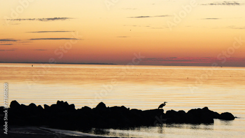 Sunrise at the beach with silhouette of great blue heron