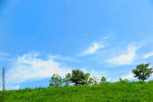 白い雲と青い空と緑の木と草の丘の風景11 © ken1344