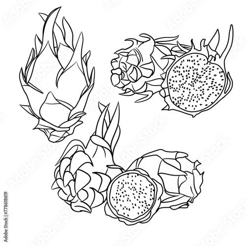 Vector drawing Illustration Hand drawn ink sketch of Dragon Fruit, Half Peeled, whole and sliced line art isolated on white background.  For kids coloring book.outline vector doodle illustration