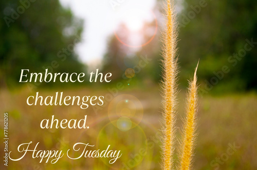 Foto Embrace the challenges ahead. Happy Tuesday greetings