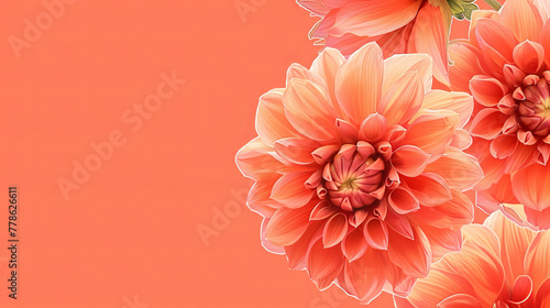Beautiful dahlias positioned to the side, creating a clean design space as a banner with blank space on a red-orange background © road to millionaire