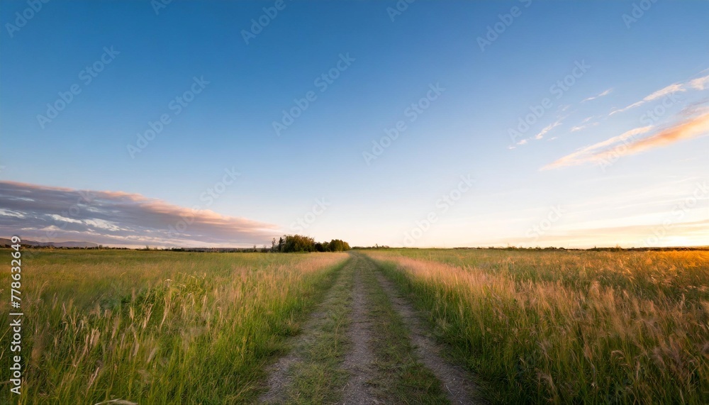 lane in meadow and deep blue sky