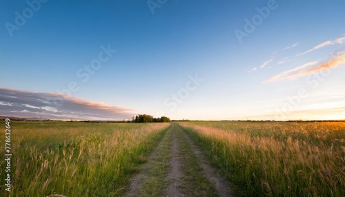 lane in meadow and deep blue sky