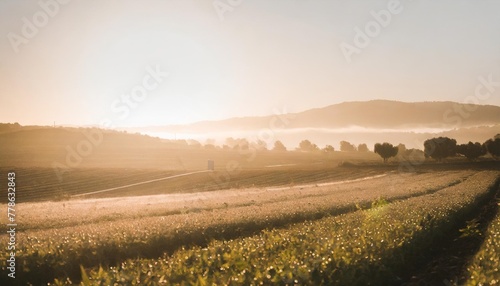 an early morning farmer s field dew on crops sunrise casting a golden glow tranquil and fertile landscape resplendent