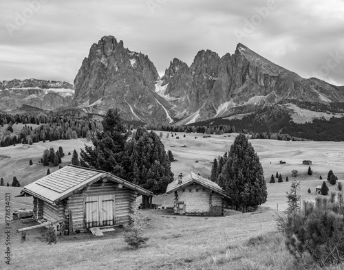 Wallpaper Mural Dolomite cabin near Ortisei, Bolzano, Italy in black and white Torontodigital.ca