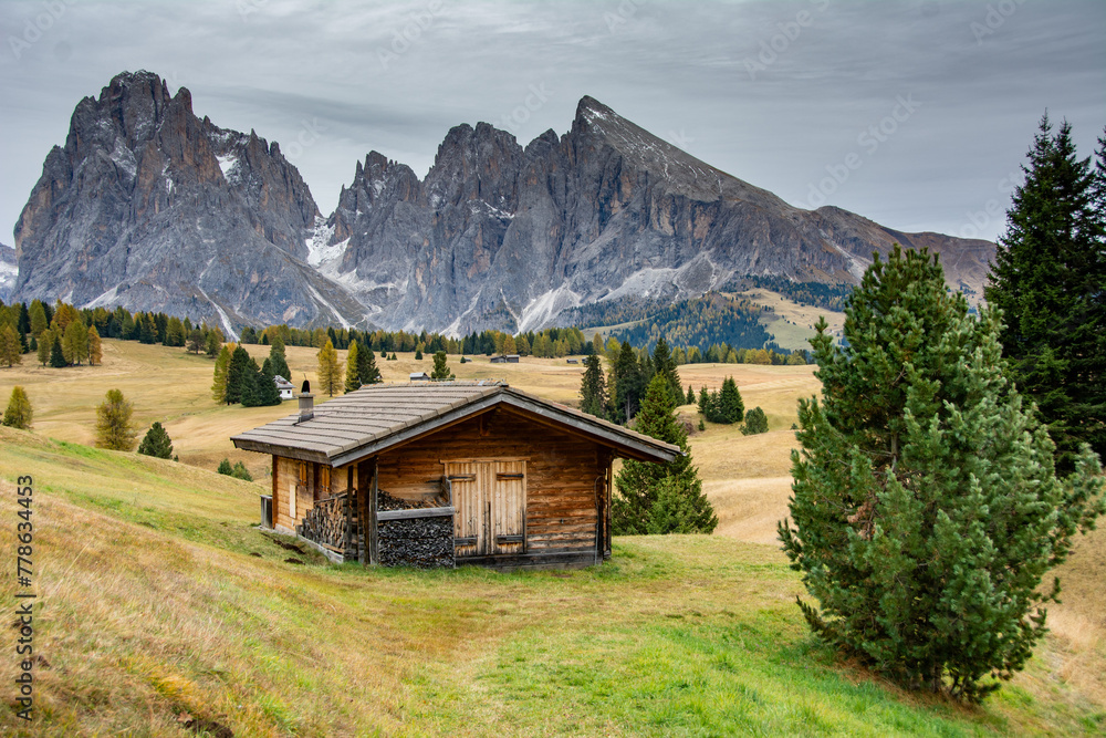 Dolomite cabin near Ortisei, Bolzano, Italy in black and white