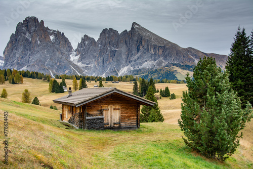 Dolomite cabin near Ortisei, Bolzano, Italy in black and white