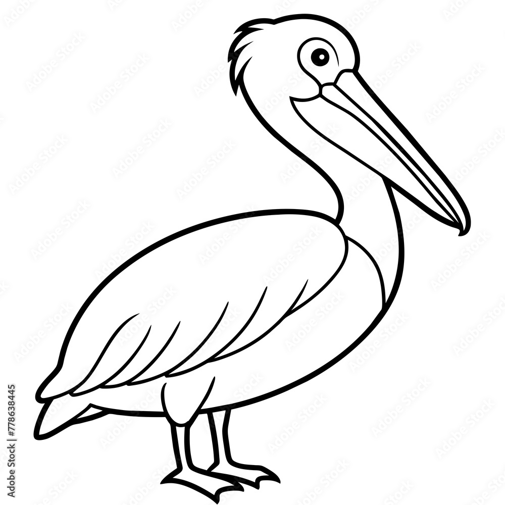 pelican isolated on white background -victor illustration pelican isolated on white background -victor illustration