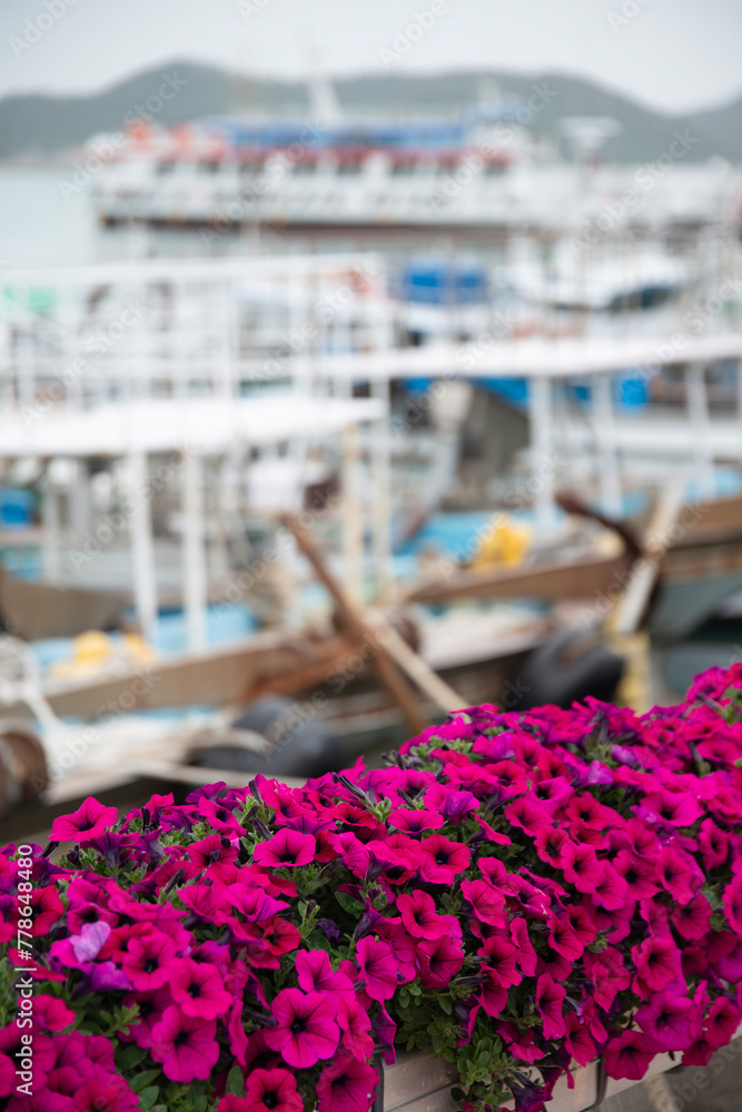 Fishing boats with the purple flowers at the harbor