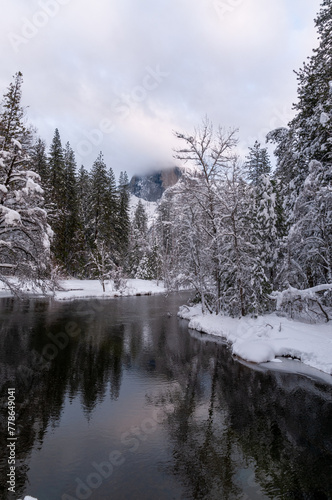 Snow-covered trees line the merced river in Yosemite valley on a late winter afternoon.