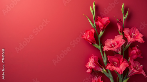 A stunning high-resolution image of pink gladiolus flowers arranged on a crimson background, presenting a banner with blank space for text or design