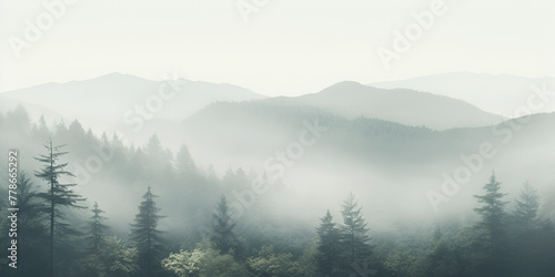 Embarking the beautiful nature scene through the Foggy Forests with Misty Mountain in the background © Laiba