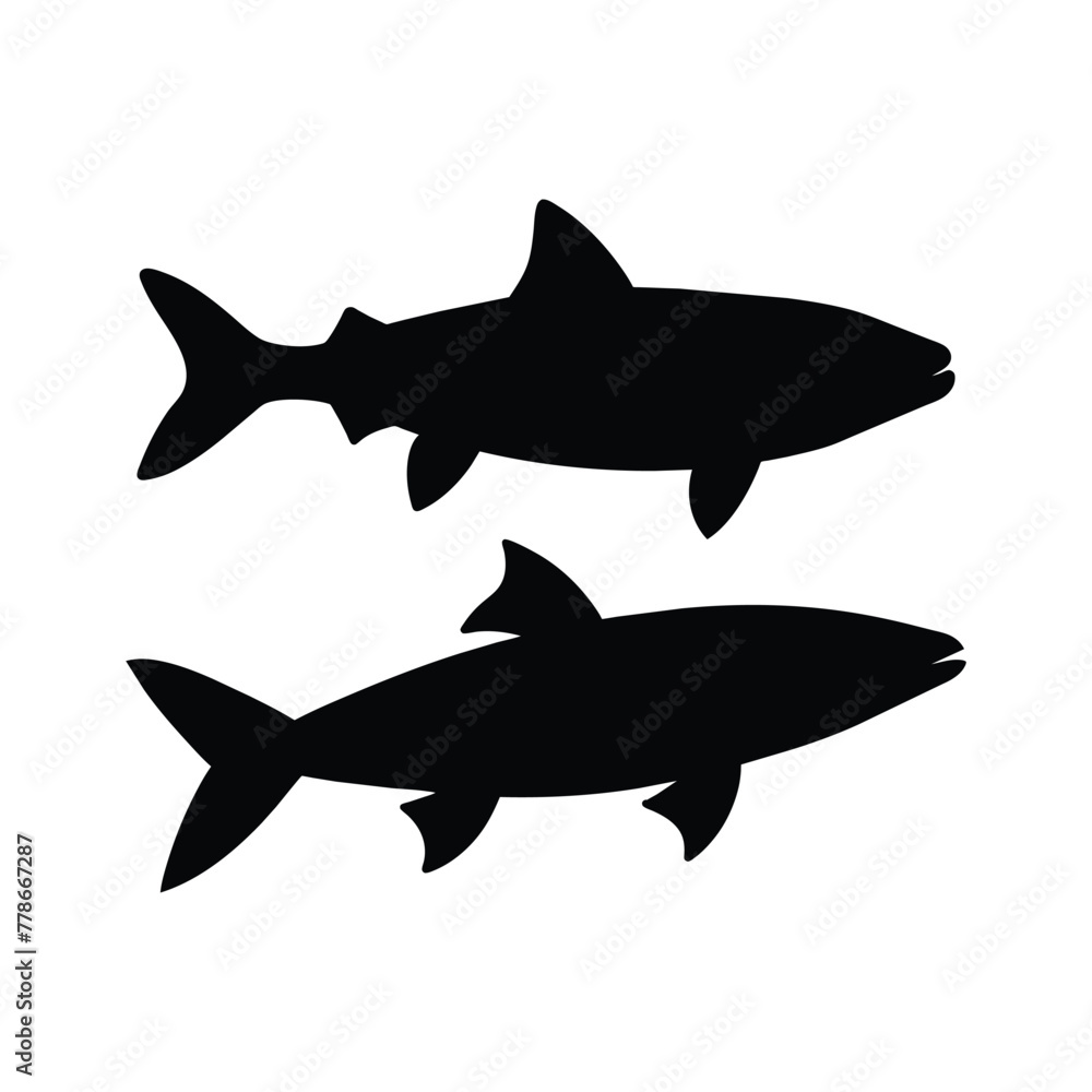 Anchovy fish silhouette isolated on white Anchovy fish silhouette isolated on white