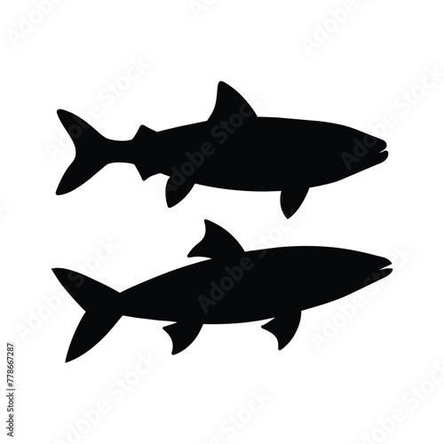 Anchovy fish silhouette isolated on white